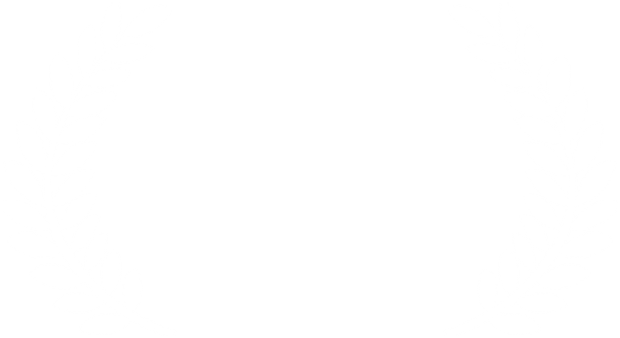 Premio Nacional
