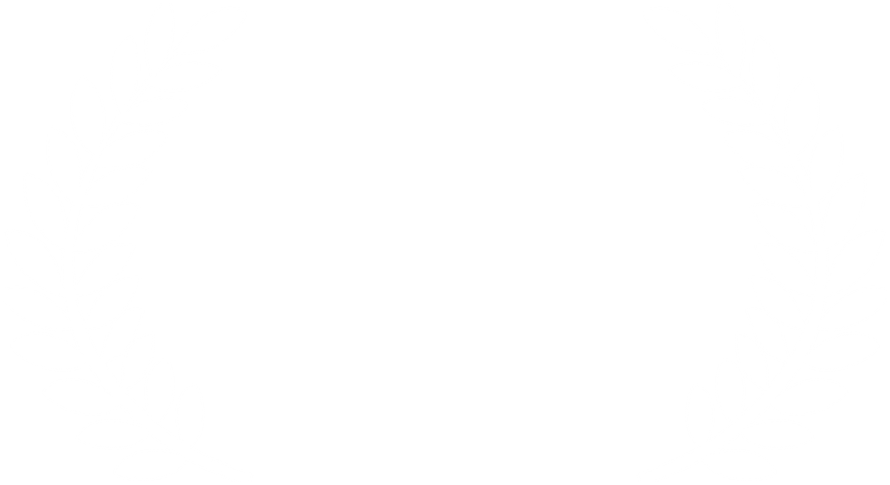 Premio Rioboo